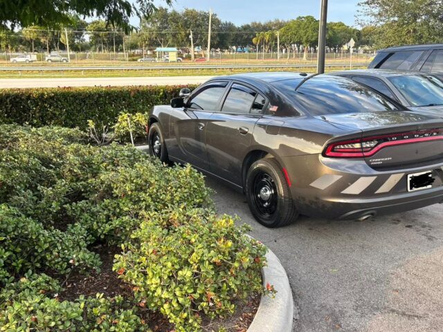 Dark gray Dodge Charger AWD rear quarter view showing gray reflective shadow chevron stripes on the lower rear bumper, parked in a landscaped lot.